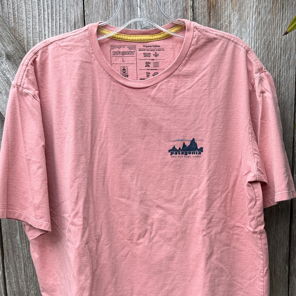 Patagonia Men's Short Sleeve Tee in Soft Pink
